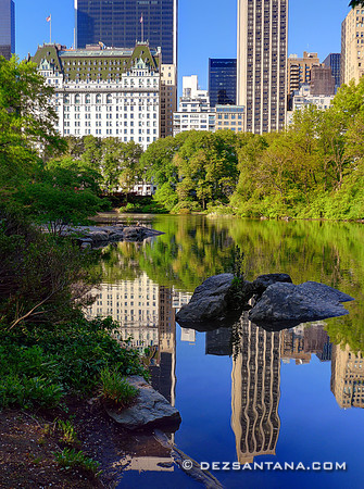 Reflections