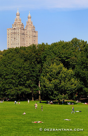 Sheep Meadow