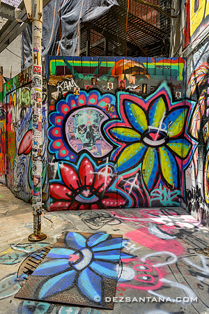 Freeman Alley
