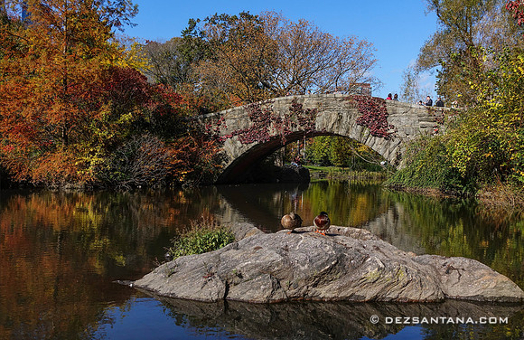 Gapstow Bridge
