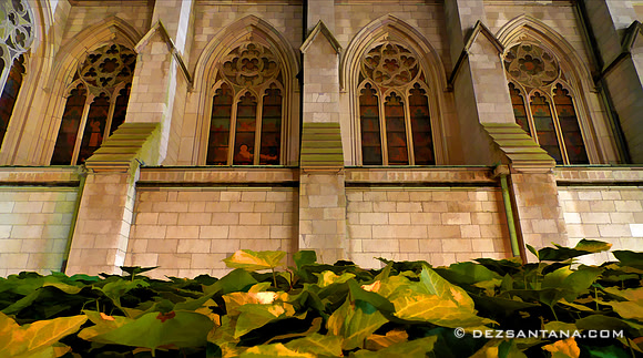 St. Patrick's Cathedral