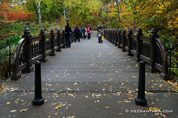 Oak Bridge