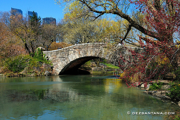 Gapstow Bridge