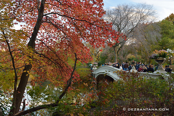 Bow Bridge