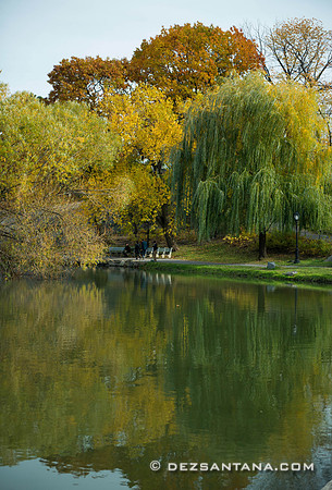 Harlem Meer
