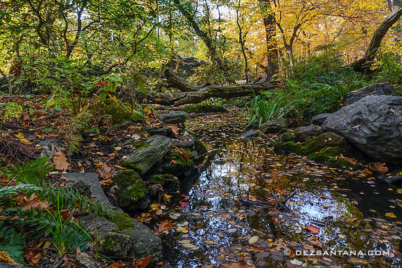 The Ramble