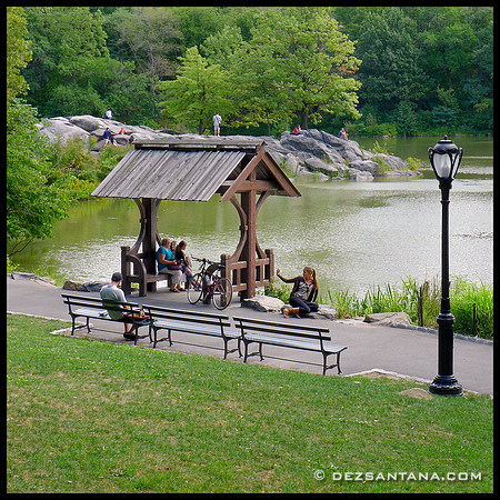 The Lake