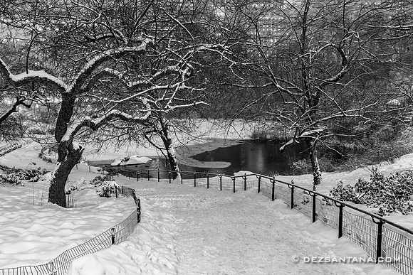 The Pond