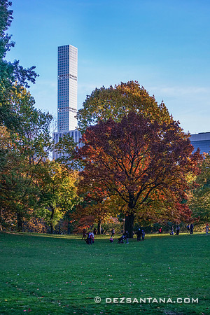 Fall Foliage