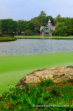 Harlem Meer