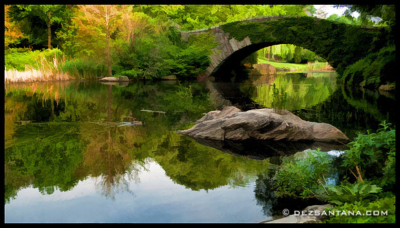 The Pond
