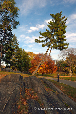 Autumn