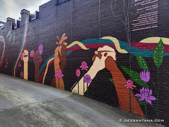 Chapel Hill Arts