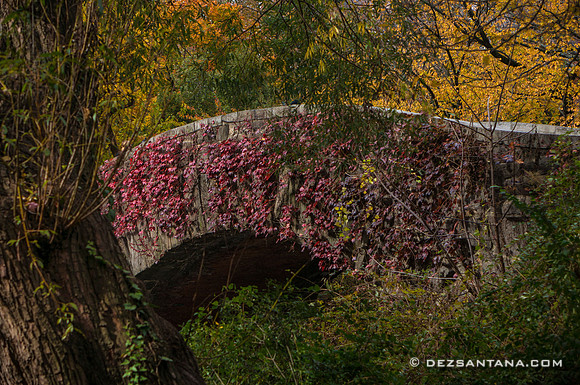 Gapstow Bridge