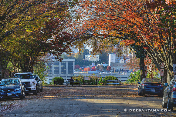 Church Hill Overlook