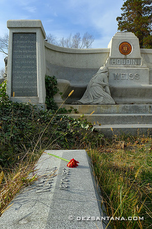 Harry Houdini Gravesite
