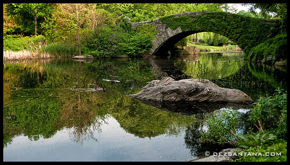 The Pond