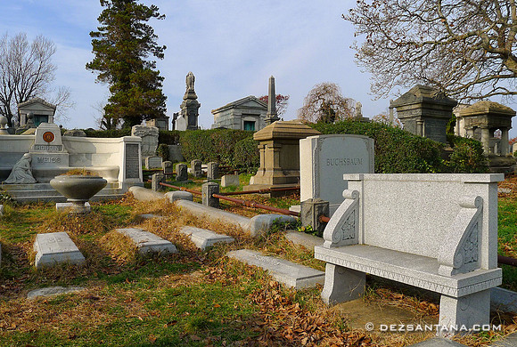 Harry Houdini Gravesite