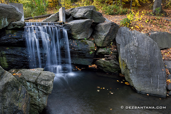 The Ravine