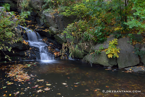 Waterfall At Glen Span Arch