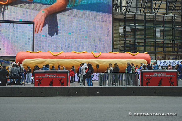 Hot Dog In The City