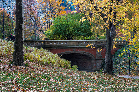 Driprock Arch